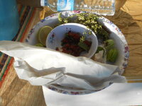 DSCN9247.JPG