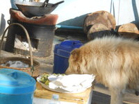 DSCN9254.JPG