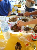 DSCN9251~2.JPG