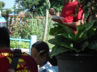 DSCN9271.JPG