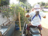DSCN9286.JPG