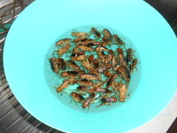 DSCN9440.JPG