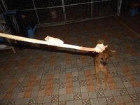DSCN9441.JPG