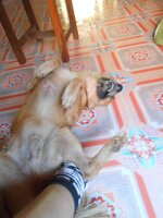 DSCN9382~2.JPG