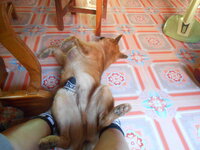 DSCN9379.JPG