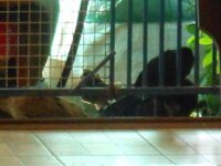 DSCN9376.JPG
