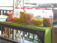 DSCN9225.JPG