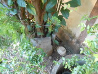 DSCN9385.JPG