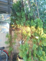 DSCN9389~2.JPG