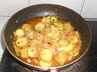 DSCN9230.JPG