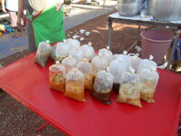 DSCN0670.JPG