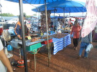 DSCN0687.JPG