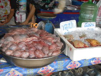 DSCN9947_new.jpg