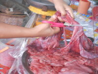 DSCN9967.JPG