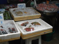 DSCN9951.JPG