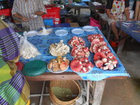 DSCN9946.JPG
