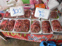 DSCN9968_new.jpg