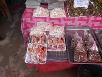 DSCN9980_new.jpg