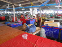 DSCN9978_new.jpg