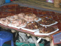 DSCN9984_new.jpg