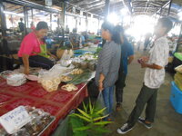 DSCN9990_new.jpg