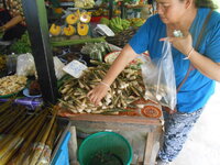 DSCN0002.JPG DSCN0002.JPG