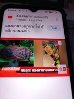 IMG_20231111_154003_858.jpg