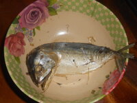 DSCN1000.JPG
