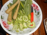DSCN0995.JPG