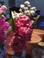 IMG_20231111_204046_670.jpg