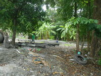 DSCN9461_new_new.jpg