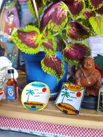 IMG_20230709_134814_350.jpg