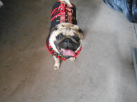 DSCN9496_new_new.jpg
