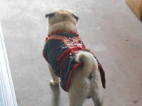 DSCN9500_new_new.jpg