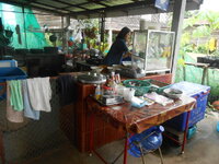 DSCN9520_new_new.jpg