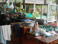 DSCN9534_new.jpg