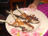 DSCN9689.JPG