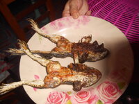 DSCN9688.JPG