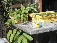DSCN9760.JPG