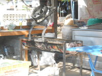 DSCN9759.JPG