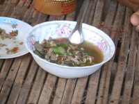 DSCN9774.JPG