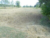 DSCN9777.JPG