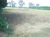 DSCN9776.JPG
