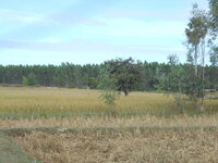 DSCN9779.JPG