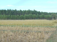 DSCN9778.JPG