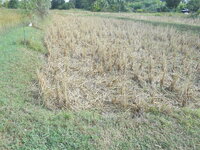 DSCN9781.JPG