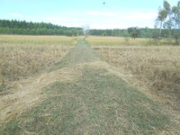 DSCN9775.JPG