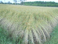 DSCN9783.JPG