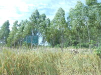 DSCN9790.JPG