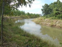 DSCN9792.JPG